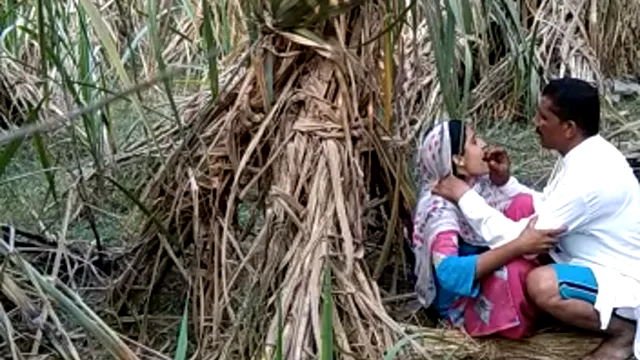 Desi Local Girl Wild Jungle Sex with BF