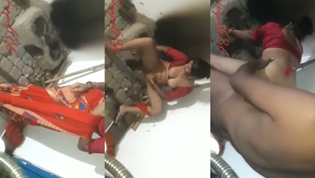 Watch 욕정난 큰 엉덩이 바이블리 와일드 블로우잡 및 섹스 full viral video leaked