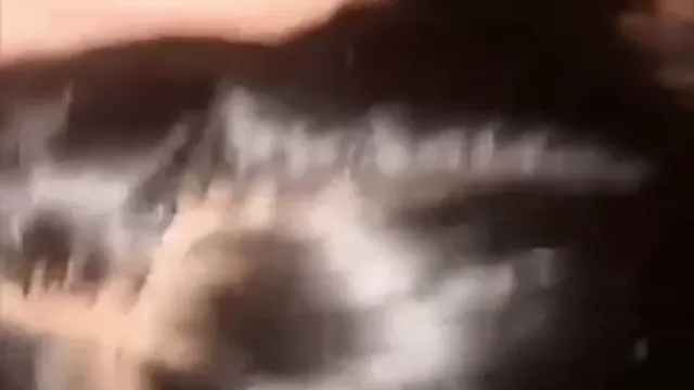 Girlfriend Deepthroats Lover's Throbbing Cock Before Riding It Wildly