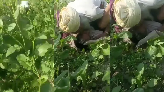 Desi Farmer Bends Labour Wife Over for Rough Field Fuck