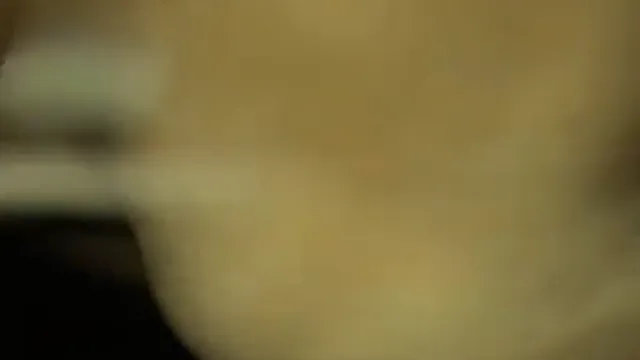 Wild Punjabi Girl Sucks Cock Then Rides in Blowjob Fucking Action