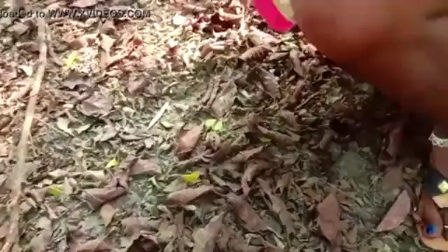 Pareja Tamil Follando Salvajemente en Video de Sexo en la Selva
