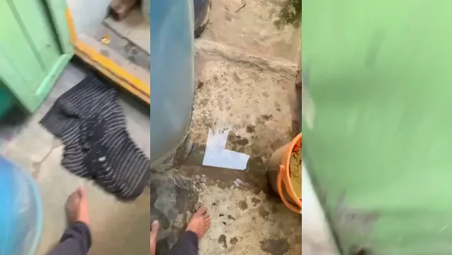 Watch Zaplašený video Krokyně se koupí v sprše a nevědí, že ji krokynovec natáčí full viral video leaked