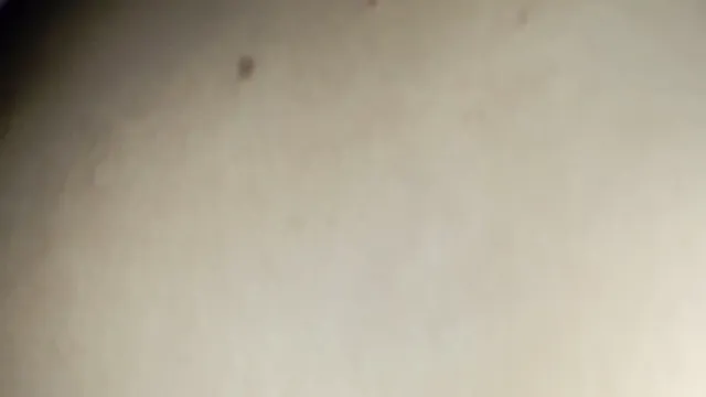 Watch Desi Bhabhi Bouncing Juicy Boobs with BF in Wild Bedroom Scene full viral video leaked
