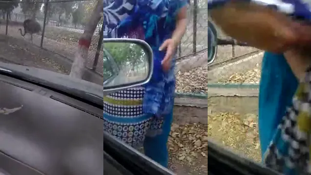 Farah's Tits The Ultimate Pakistani Escort Experience