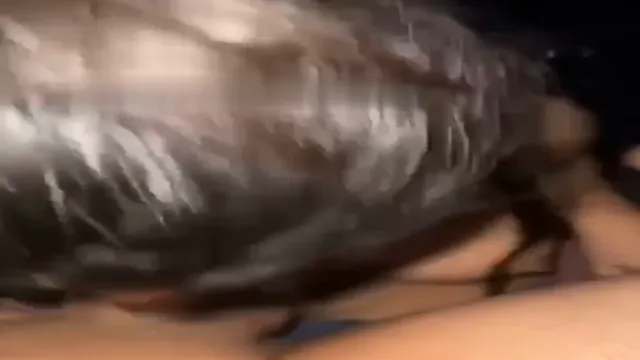 Desi Babe Gives Intense Deep Throat on Her Knees