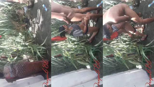 Watch Desi Bhabhi Gives Mind-Blowing Public Blowjob in Forest full viral video leaked