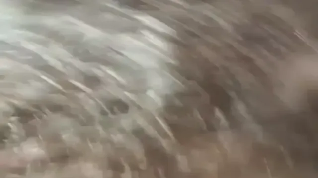 Watch Steamy Punjabi Couple Gets Wild in Bed with Loud Moaning and Hard Riding full viral video leaked