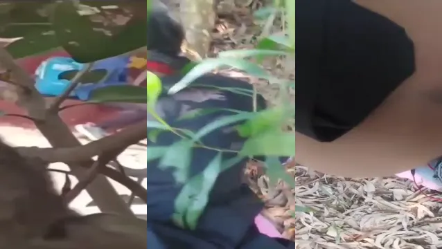 Watch Amore Appassionato nella Giungla Lui Scopa la Sua Ragazza in Bocca full viral video leaked
