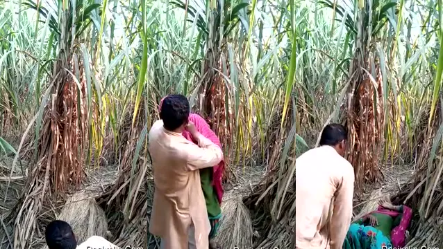 Muslim Uncle Fucks Young Desi Girl in Jungle Wild XXX