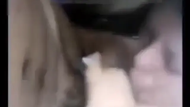 Desi GF BF Sex Video Girlfriend's Tight Pussy Fucked Hard on Bed