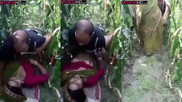 Watch বাঙালি বিভি জঙ্গলে গোপন প্রেমিকের সাথে ওয়াইল্ড হবার চিত্‍করৃণী full viral video leaked