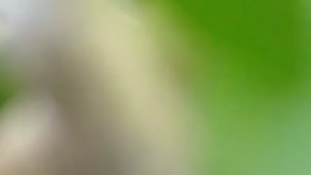 Watch Vecina Tía con Grandes Senos y Coño Rapado en Follada Salvaje al Aire Libre full viral video leaked