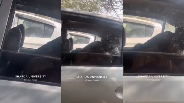 Watch Desi University Girl Goes Wild with Outdoor Car Sex in Leaked MastiRaja Video full viral video leaked