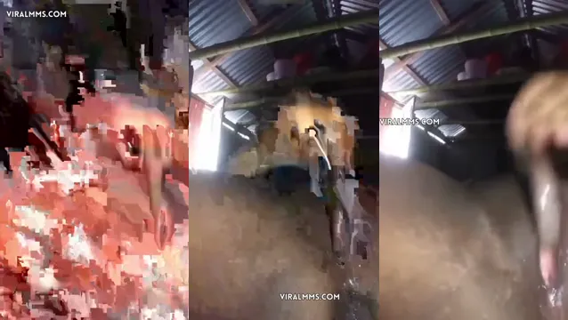 Watch Desi Bhabhi 的黄瓜性爱场面 - 爆料的裸体 MMS full viral video leaked