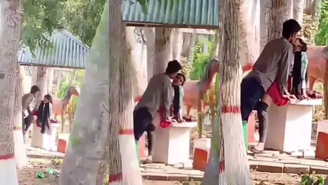 Desi Couple Gets Wild In Park With Hidden Cam Sex
