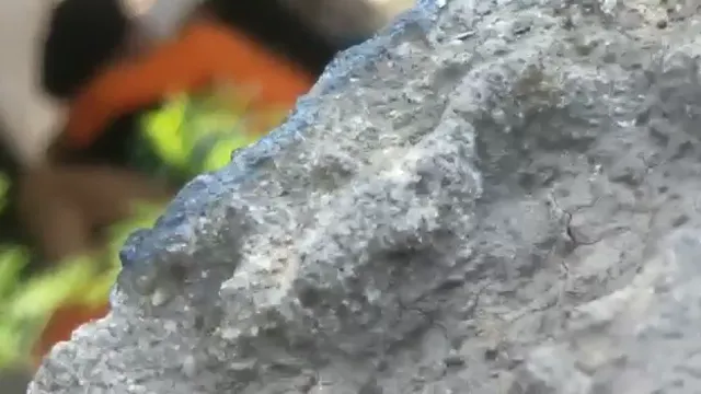 Punjabi Girl Caught Bending Over for Desperate Public Fuck Part 2