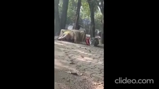 Watch Muscular Stud Pounds Curvy Desi Bhabhi in Wild Village Sex full viral video leaked