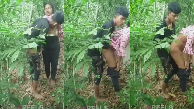 Wild Jungle Fucking Desi Couple Gets Wild In The Forest