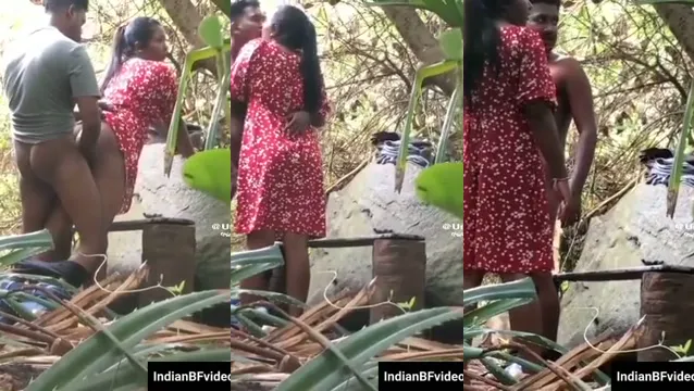 Watch Hot Desi GF and BF Wild Jungle Fuck in HD full viral video leaked