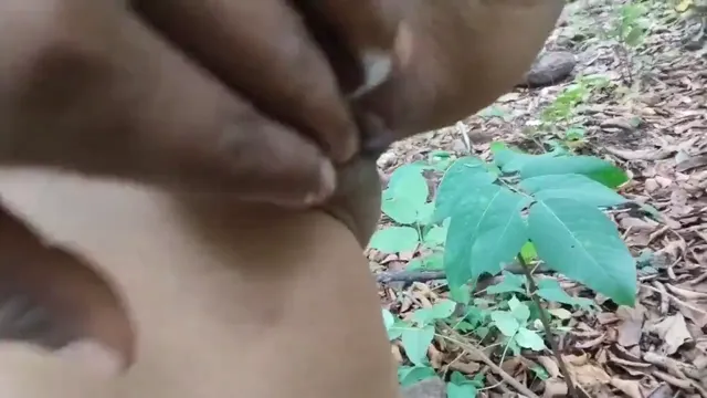 Watch Chica Honry es embestida en la Jungla con Sexo Crudo al Aire Libre full viral video leaked