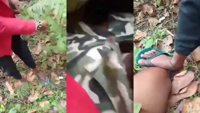 Watch Wild Desi Girl Gets Pounded Hard in Jungle Picnic Fuck Fest full viral video leaked