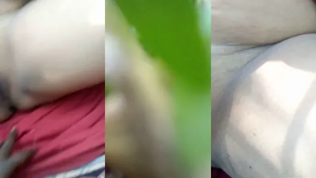 Desi Bhabhi Outdoor Fucking Wild Orgasm in Nature