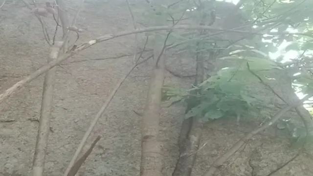 Lucky Boy Bangs Cute Village Girl in Hot Desi Village Sex