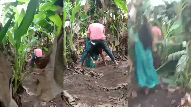 Watch Desi Couple Fucks Wildly in Banana Garden Jungle full viral video leaked