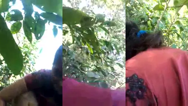 Tia Affamata Succhia il Cazzo Duro del Nipote nei Cespugli