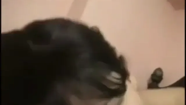 Watch Virová Videa Indická Sexy Dívka XXX Se Sexem Se Svým Chlapcem full viral video leaked