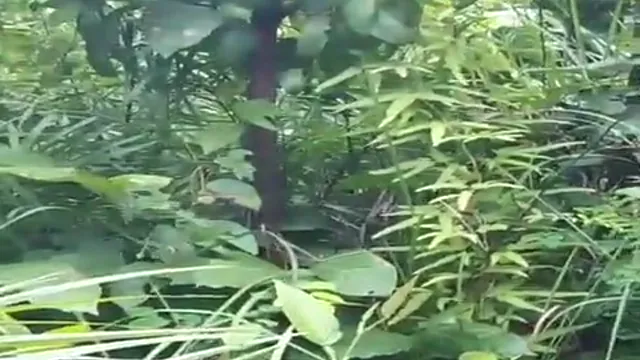 Watch Sizzling Doggy Style & Blowjob Action from Indian Wedding Night Leak full viral video leaked