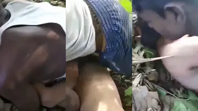 Watch Desi Randi Follada Salvaje en la Selva con su Cliente full viral video leaked