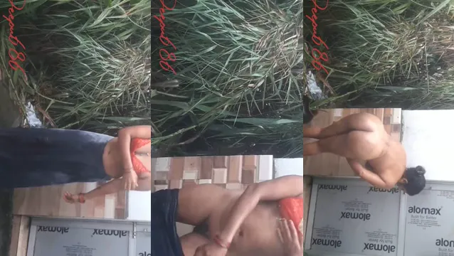 Horny Bhabhi Spreads Wide for Outdoor Fucking in Viral Desi Sex Tape