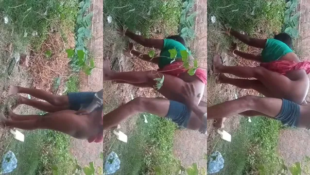 Moglie del Villaggio Desi Scopata all'Aperto - Avventura Selvaggia di Scopata nel Campo